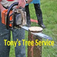 Tony's Tree Service image 1
